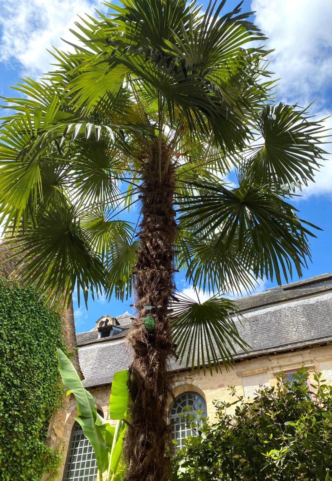 La Villa Des Consuls - Gite De Tourisme De Charme Sarlat-la-Caneda Bagian luar foto